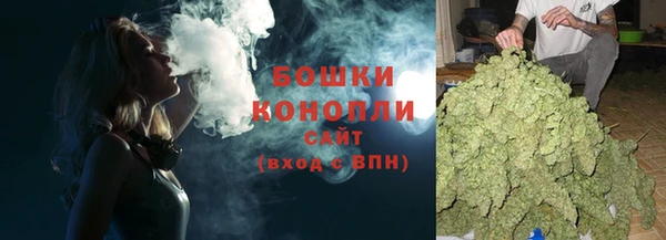 молекула духа Новозыбков