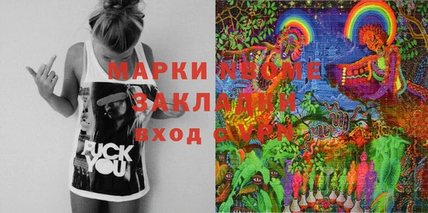 молекула духа Новозыбков