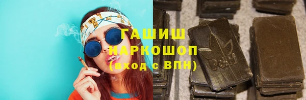 молекула духа Новозыбков
