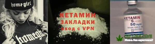 молекула духа Новозыбков