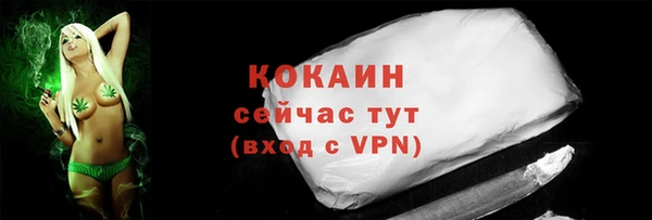 молекула духа Новозыбков