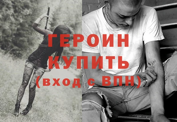 молекула духа Новозыбков