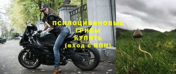 молекула духа Новозыбков