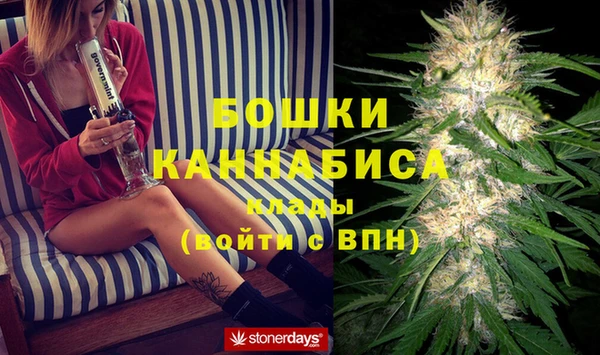 молекула духа Новозыбков