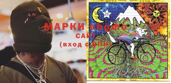 молекула духа Новозыбков