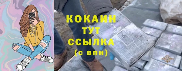 молекула духа Новозыбков