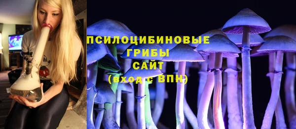 ешки Новокубанск