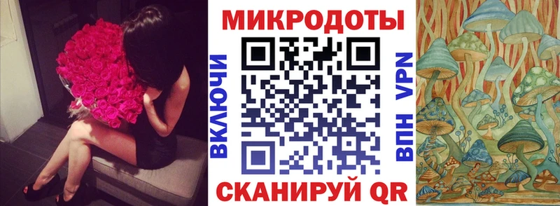 купить наркотик  Новосиль  Псилоцибиновые грибы Magic Shrooms 